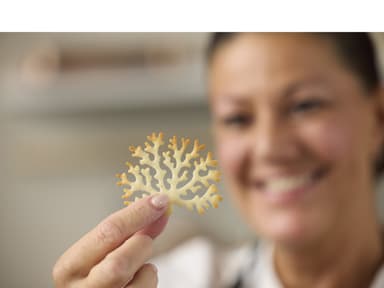 Blomsterbergs Tree Tuile mould Latte