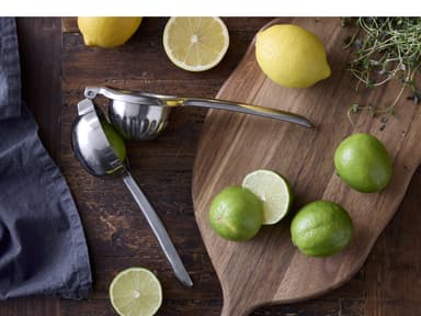 HOLM Citrus squeezer 21,5 x 7,5 cm