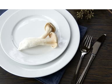 Pillivuyt Eventail Flat plate with rim Dia 28 cm White