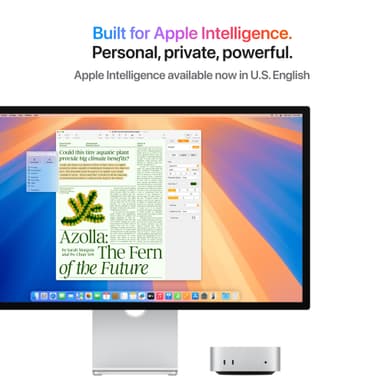 Mac mini M4/16/256 2024