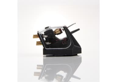 Rega Ania