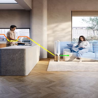 Dyson Cool PC2 De-NOx luftrenser 546519-01 (hvit/sølv)