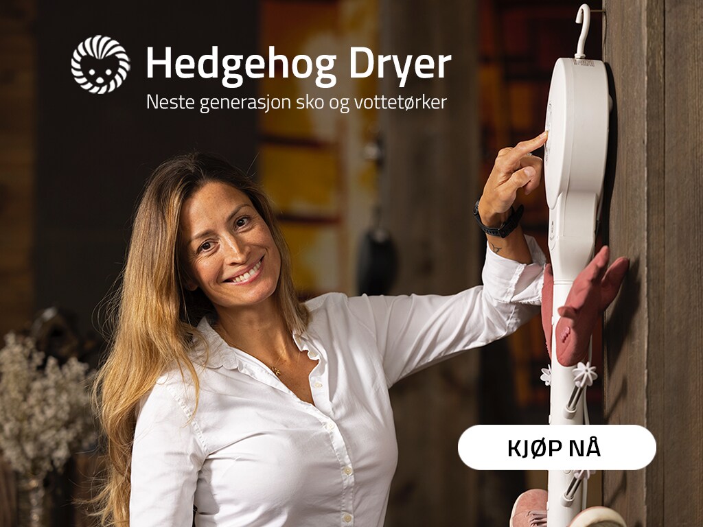 Hedgehog Dryer- next generation shoe and mitten dryer
