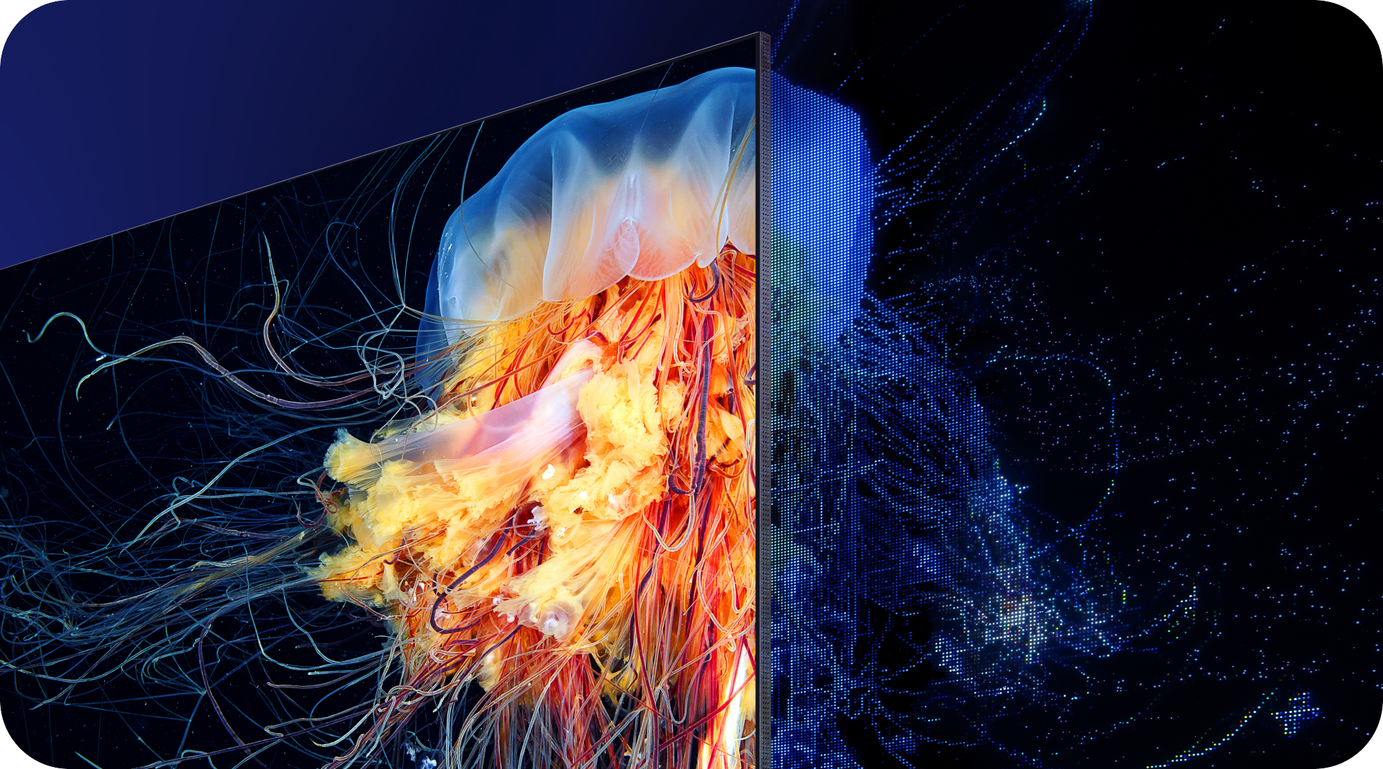 Samsung TV med Quantum Matrix Technology Pro