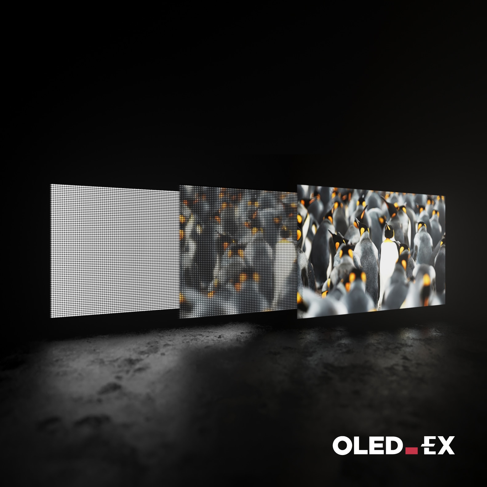 LG OLED - OLED EX