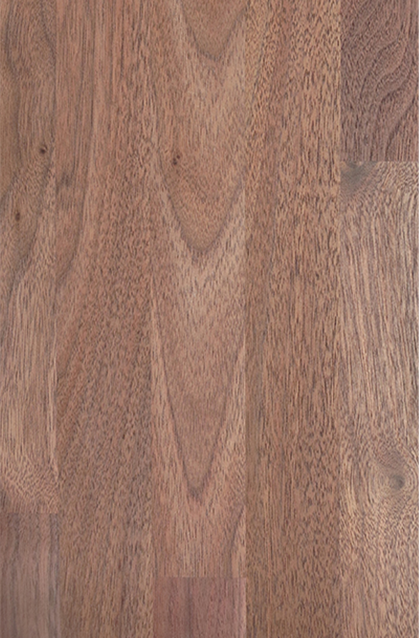 American Walnut (1)