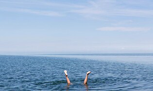 et par bein stikker opp fra havet