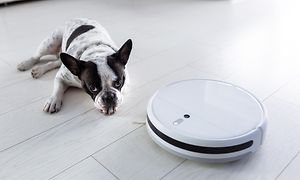 robotstøvsuger og en hund på et gulv