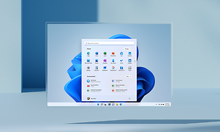 Windows 11 browser