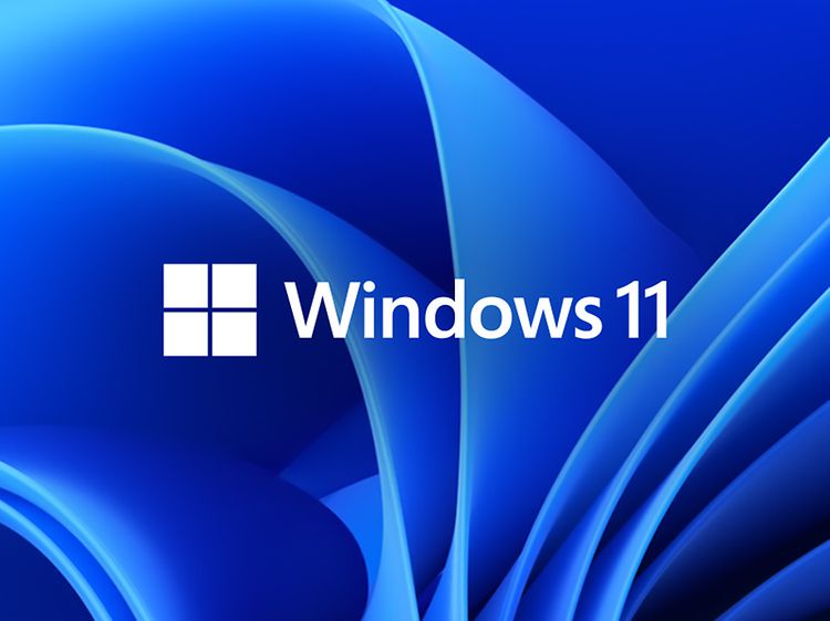 Windows 11 banner