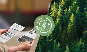 HP forest first kollasje med utskrifter og skog
