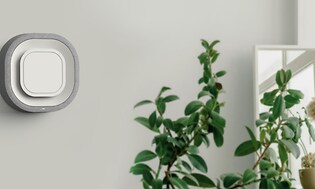 Aura Air luftrenser på grå vegg ved siden av en plante