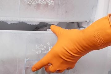 Hånd i gummihanske som åpner fryserskuff