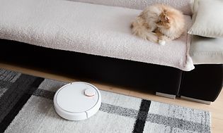 en katt på en sofa og en robotstøvsuger på et teppe på gulvet