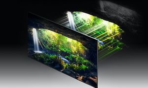 Samsung Super Neo QLED - TV viser jungel