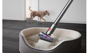 Hair screw-munnstykke for Dyson V12 Slim illustrert i bruk på en hundeseng med en hund i bakgrunnen