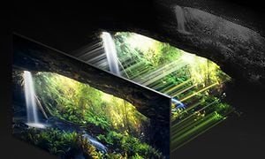 Samsung-TV-QN800A- Skjermer med natur