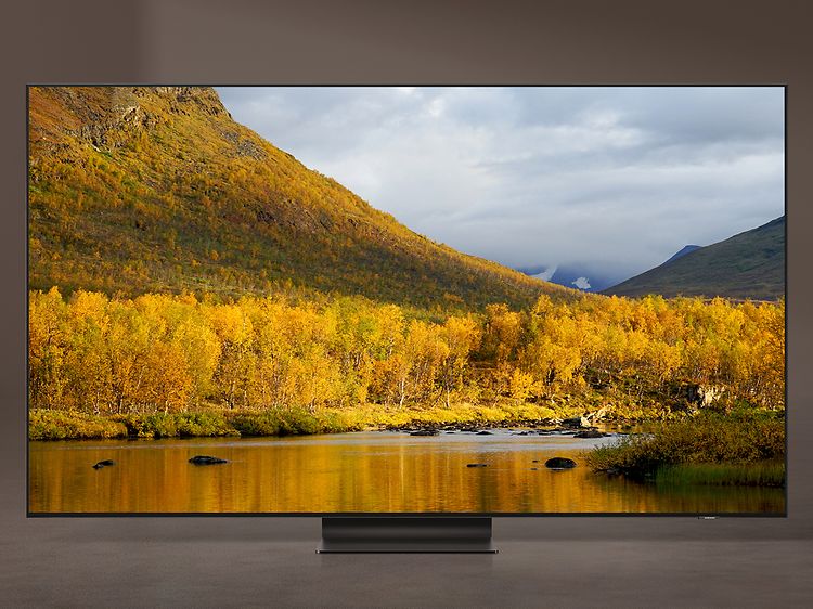 Samsung-TV-QN95A-  Høstfarger