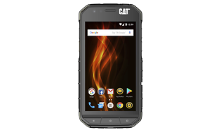 CATS31BK