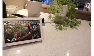 Google nest gallery showing an image of two boys in a tree