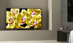 stor flatskjerm-tv i grå stue med gule og rosa blomster på skjermen