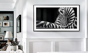 vegghengt samsung-tv med bilde av zebra