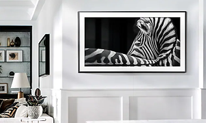 vegghengt samsung-tv med bilde av zebra