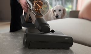 Electrolux-støvsuger rengjør en sofa mens en hund ser på
