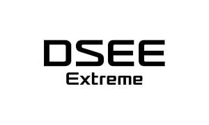 DSEE-logo