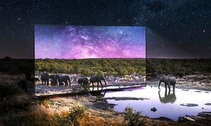 TV med elefanter