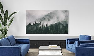 QLED TV på vegg viser skog