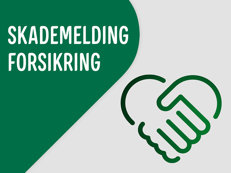 Skademelding forsikring