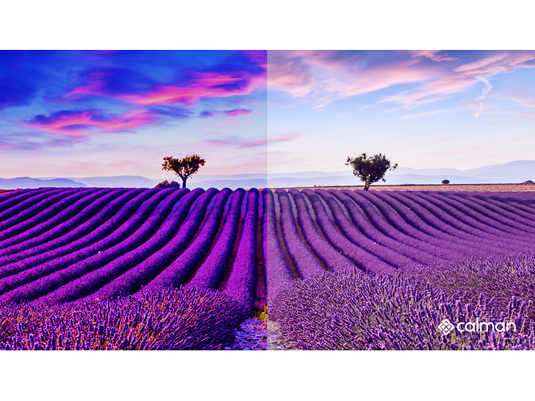 Calman-comparing field of lavender with and without calibration