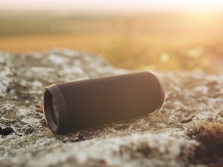 Speakers - Bluetooth speaker - Portable Bluetooth speaker one a stone with nature in the background