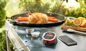 steketermometer i en grillet kylling utendørs
