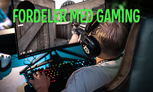 fordeler gaming
