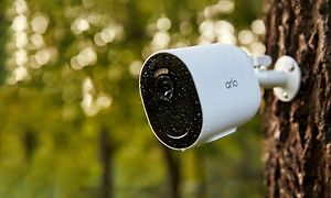 Nærbilde av Arlo Go V2-sikkerhetskamera som er festet til et tre