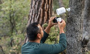 En mann som installerer et Arlo Go V2 sikkerhetskamera som er festet til et tre i skogen