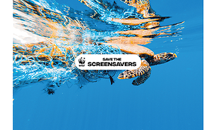 TOPP-savethescreen-landingside-4