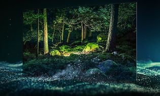 Samsung Quantum HDR OLED TV som viser en eventyrlig og mørk skog