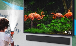 Samsung The Terrace TV som viser flamingoer og en gutt som ser på og holder en lommelykt ute
