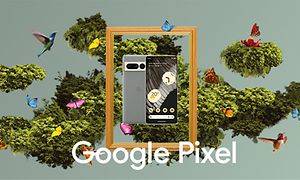 Google Pixel 7 Pro i en ramme omgitt av fugler og sommerfugler