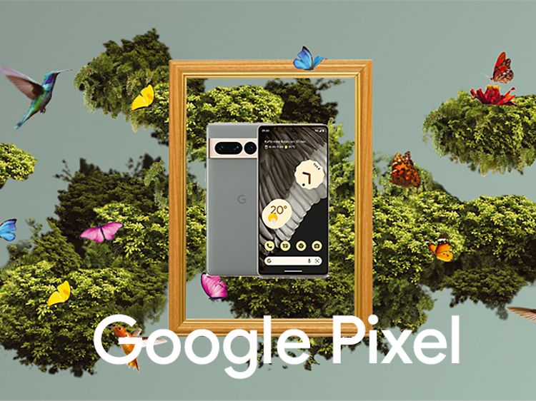 Google Pixel 7 Pro i en ramme omgitt av fugler og sommerfugler