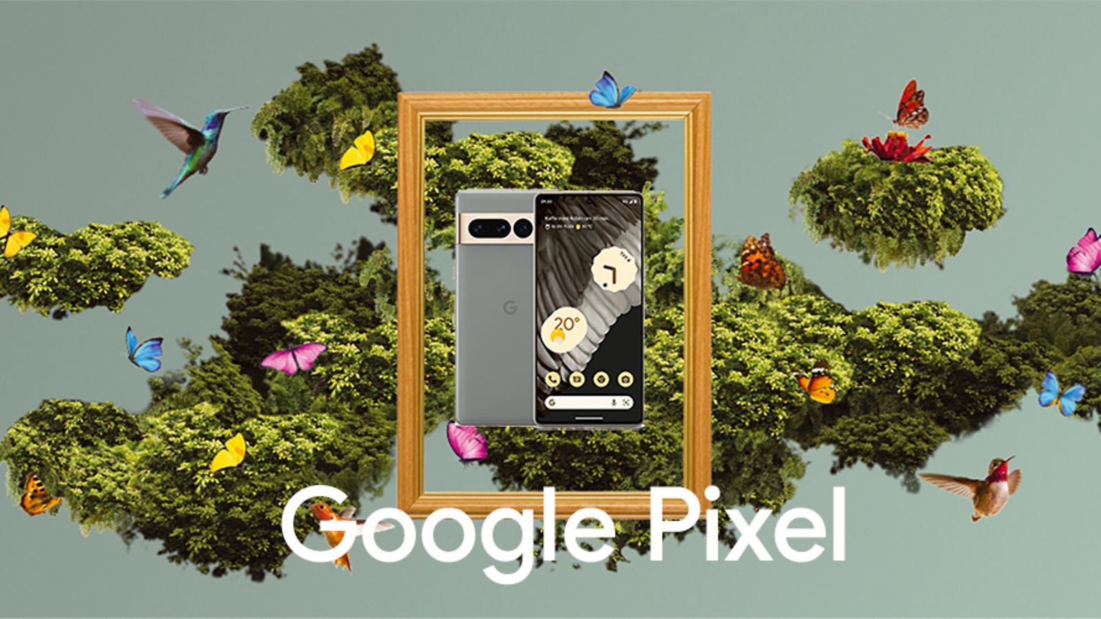 Google Pixel 7 Pro i en ramme omgitt av fugler og sommerfugler