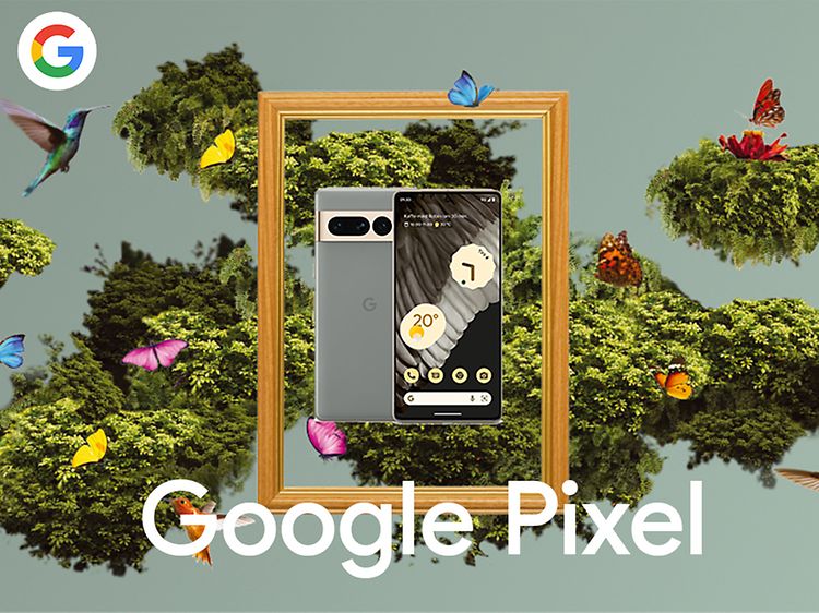 Google Pixel 7 Pro i en ramme omgitt av fugler og sommerfugler