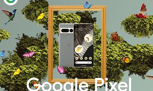 Google Pixel 7 Pro i en ramme omgitt av fugler og sommerfugler