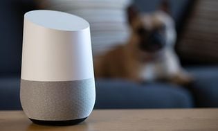 Google Home with a dog on a sofa in the background