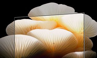 LG OLED TV som viser selvlysende sopp som gror utenfor TV-rammen