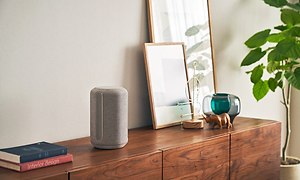 Sony speaker on top of chest
