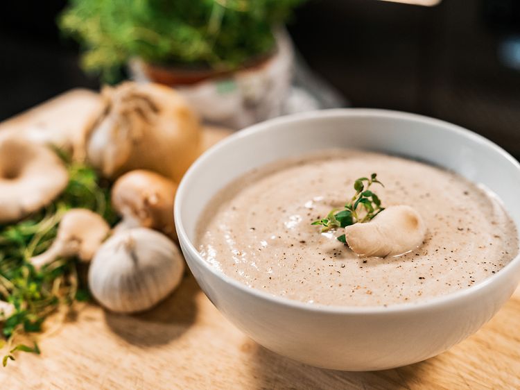 SDA - Cooking - vegetable soup in a bowl with onions and garlic on the side